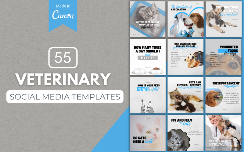 55 plantillas veterinarias de Canva para redes sociales