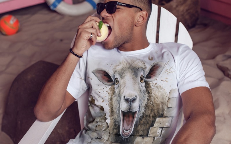 aheep engraçado cabeça de animal espreitando no fundo branco 2
