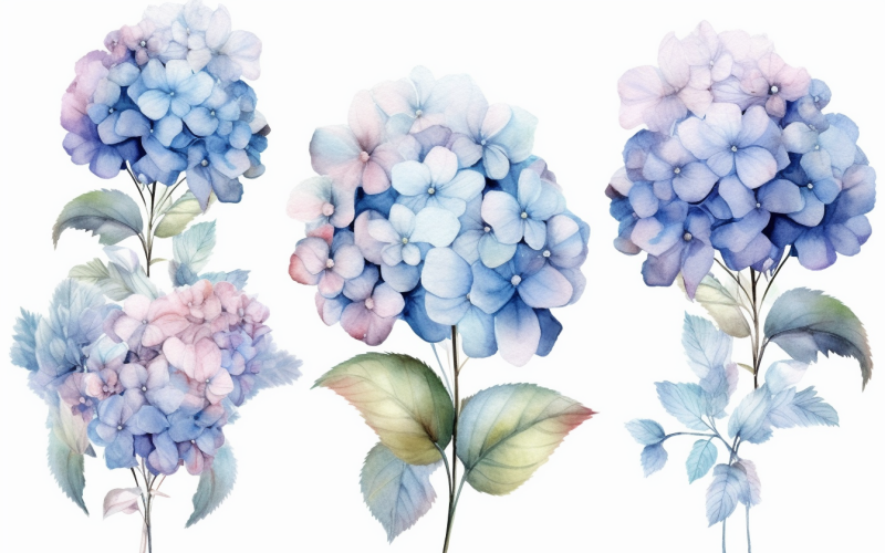 Aquarell-Blumensträuße, Illustrationshintergrund 28