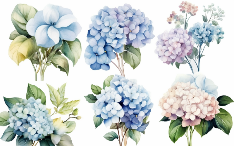 Akvarell blombuketter, illustration bakgrund 27