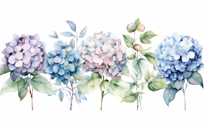 Akvarell blombuketter, illustration bakgrund 31