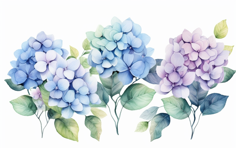 Букеты акварельных цветов, иллюстрация фона 34