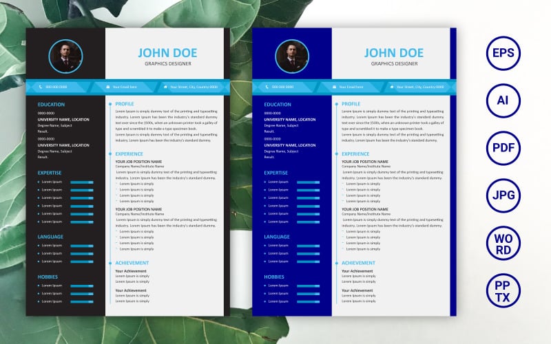 Professional Modern Resume Template - Professional Modern Resume Template Design 384326 Original