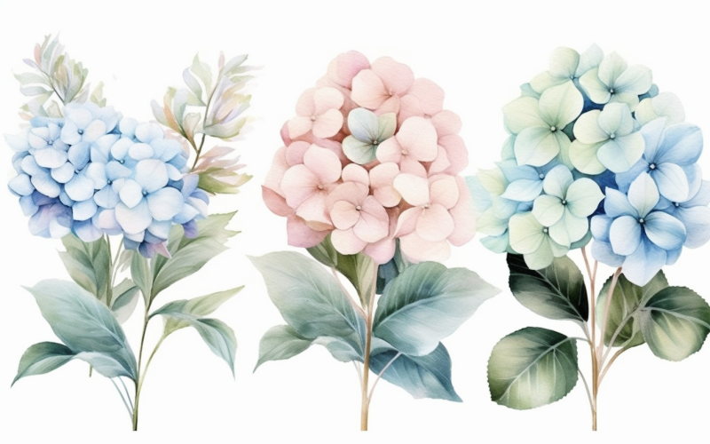 水彩鲜花花束，插图背景 357