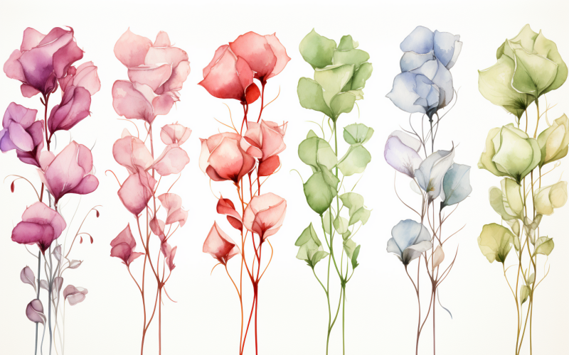 Akvarell blombuketter, illustration bakgrund 557