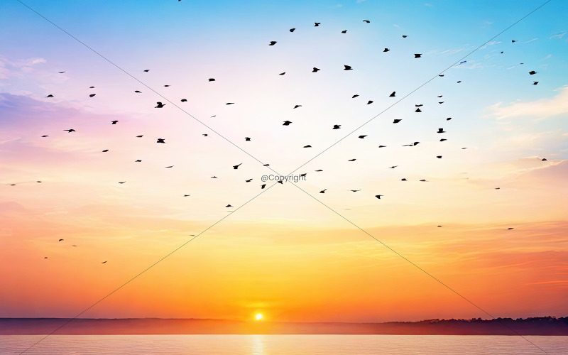 Abstract beautiful peaceful summer sky background sunrise new day and flying flock of birds 02