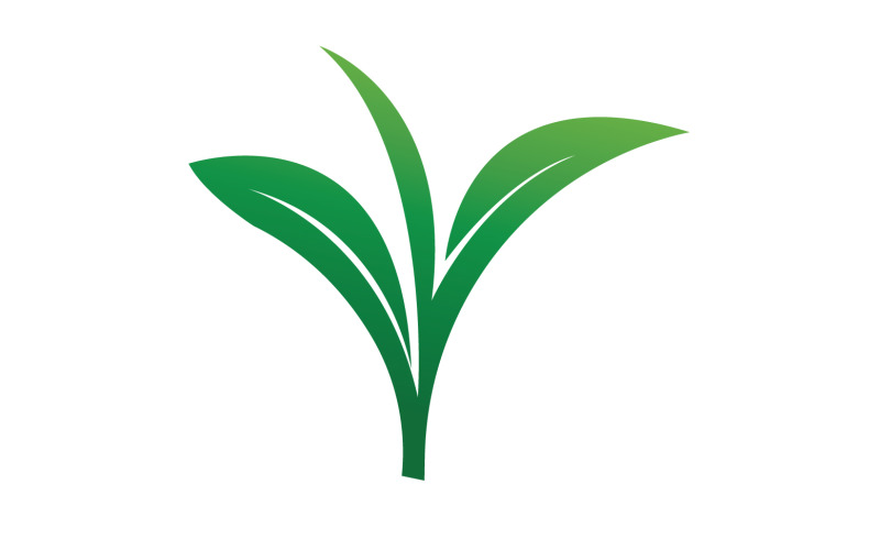 Folha natural hortelã verde logotipo ilustração design vetor v4