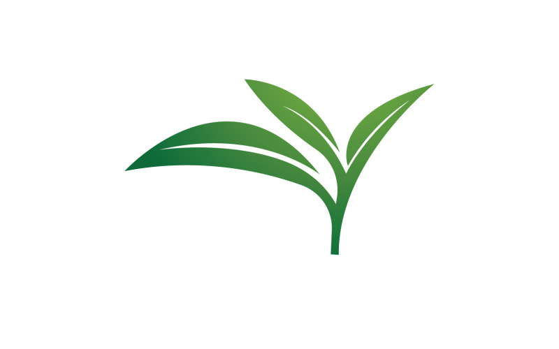 Naturalny liść mięty zielone logo ilustracja projekt wektor v2