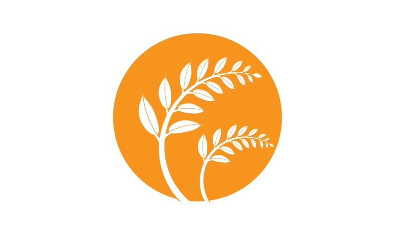 Dekorativní prvek Golden Wheat Klas Harvest v23