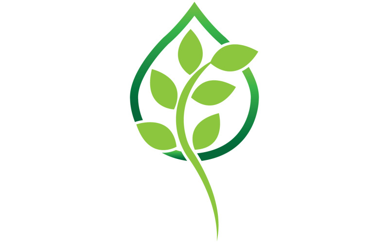 Feuille verte écologie arbre élément icône version v53