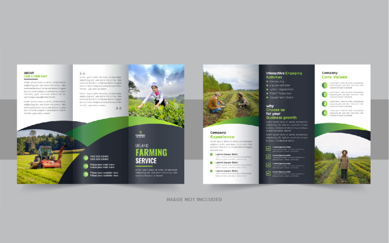 Brochure a tre ante per la cura del prato o modello di progettazione brochure a tre ante Agro