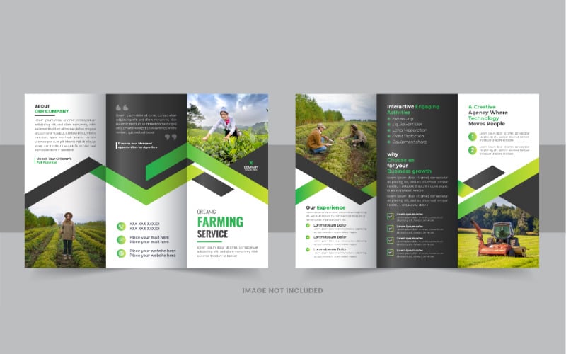 Брошура з доглядом за газонами або трискладна брошура Agro