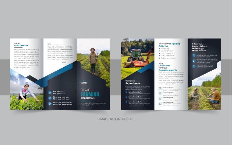 Lawn care trifold brochure or Agro tri fold brochure template layout