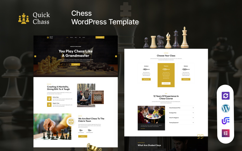Quick Chass - Chess Club And Board Games WordPress Elementor Theme