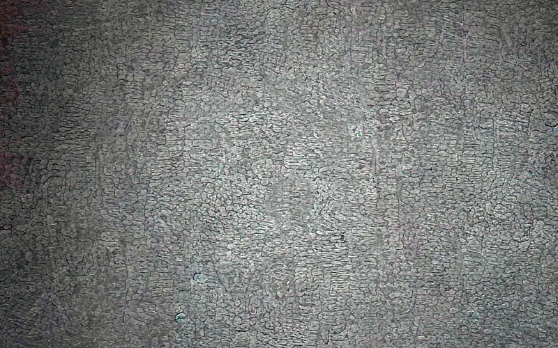 Sfondo di pelle di animale testurizzata_sfondo di pelle testurizzata_sfondo di parete testurizzata