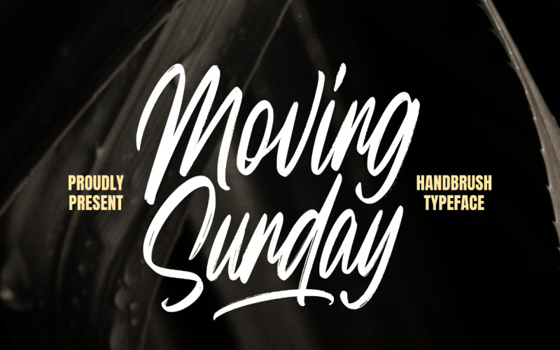 Moving Sunday Natural Handborste