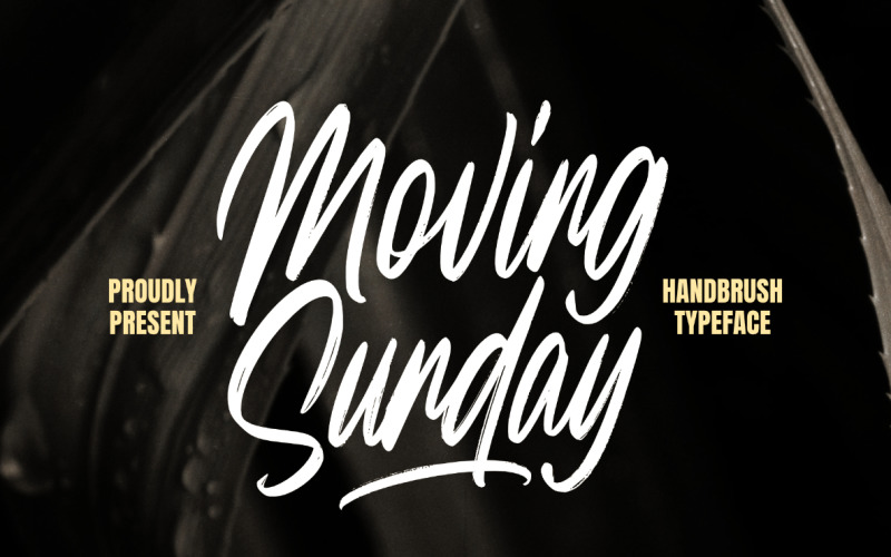 Moving Sunday Natuurlijke Handborstel
