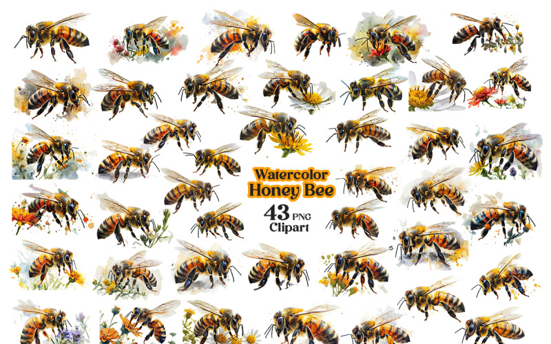 Krásné akvarelové včely sublimační kliparty ilustrace