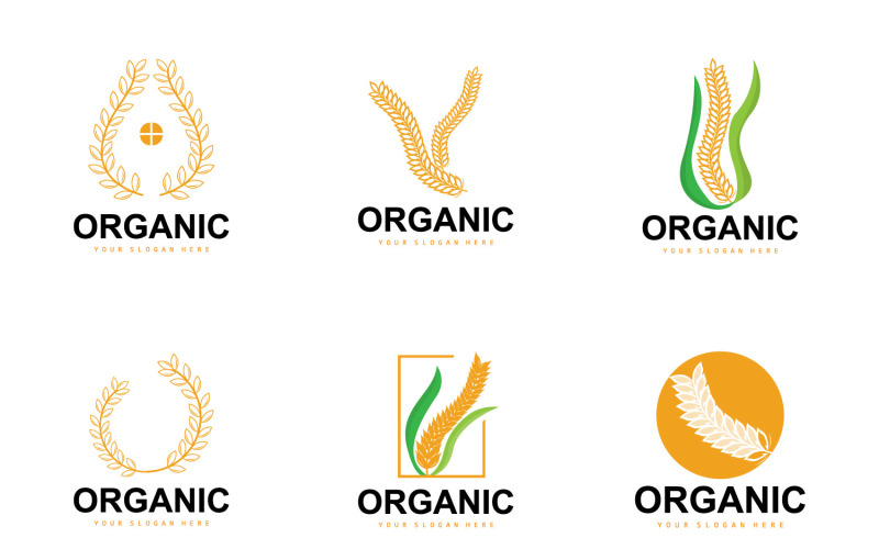 Buğday Pirinç Logosu Tarımsal Organik Bitki VectorV6