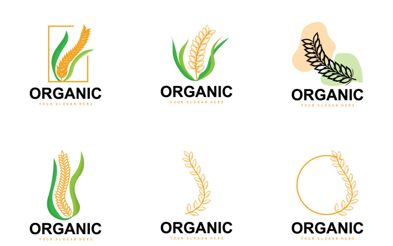 Logo pšenice rýže Zemědělská organická rostlina VectorV7
