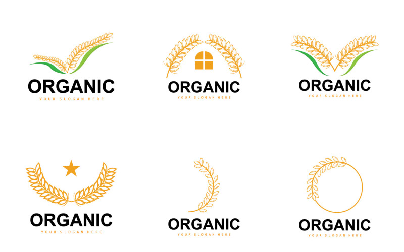 Logotipo De Arroz Trigo Planta Orgánica Agrícola VectorV3