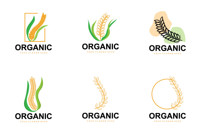 Trigo Arroz Logo Planta Agrícola Orgánica VectorV7