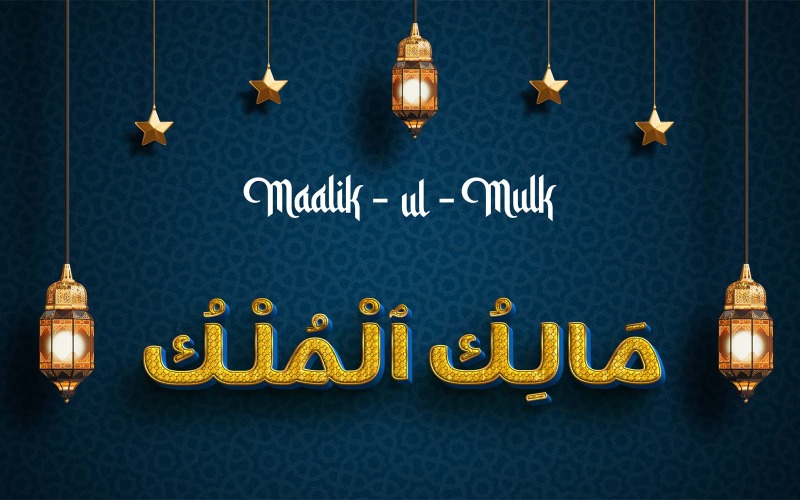 Креативный дизайн логотипа бренда MAALIK-UL-MULK