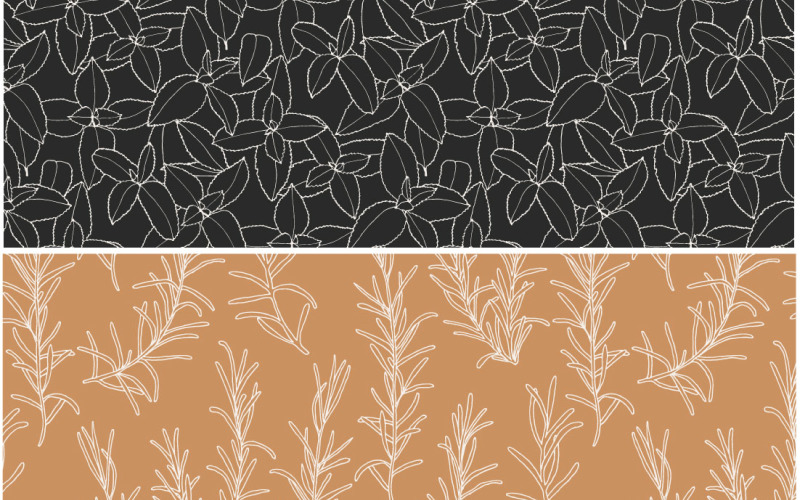 Ilustracje wzorów wektorowych ziół