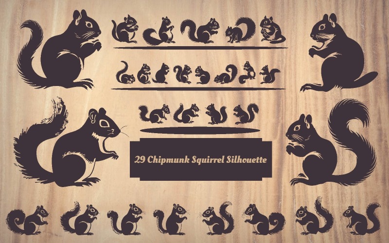 29 Silueta veverky Chipmunk