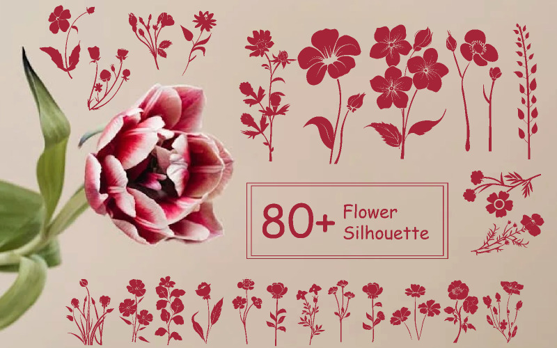 80+ Blumen-Blumensilhouette