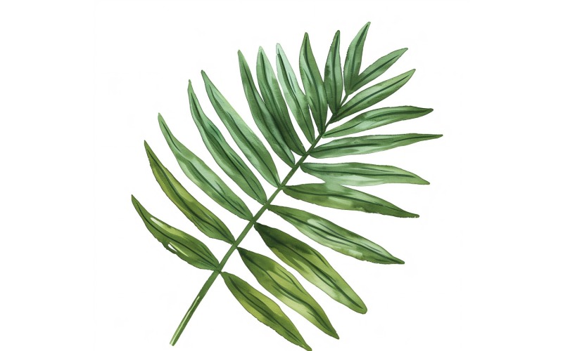Areca-Palmenblätter, Malerei im Aquarellstil 1