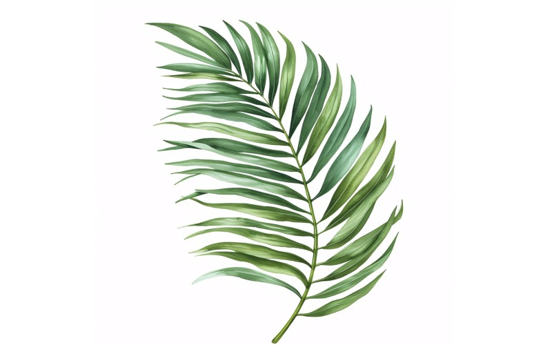 Areca-Palmenblätter, Malerei im Aquarellstil 7