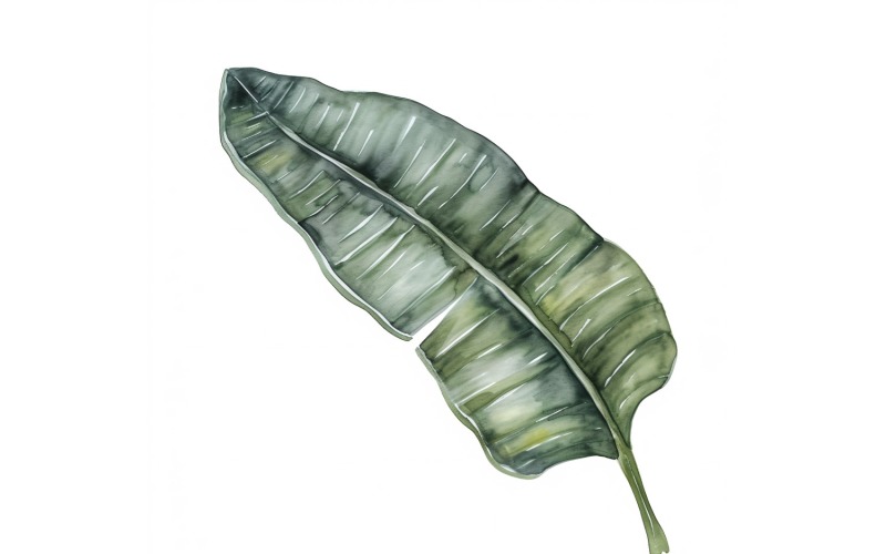 Банановые листья акварелью. Картина 2.