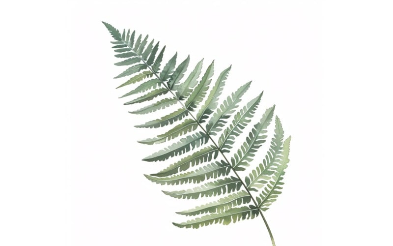 Boston Fern Leaves aquarelstijl schilderij 4