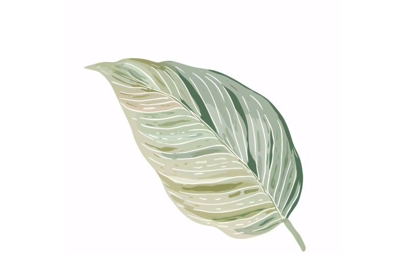 Calathea Leaves akvarell stílusú festmény 3