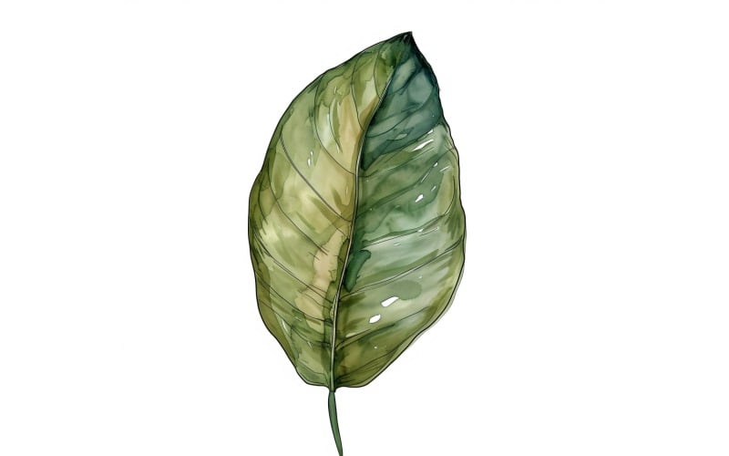 Calathea Leaves akvarellmålning 4