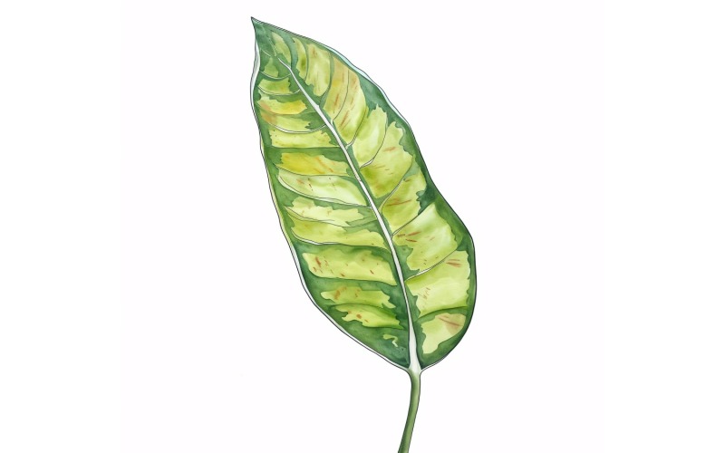 Croton Leaves akvarellmålning 3