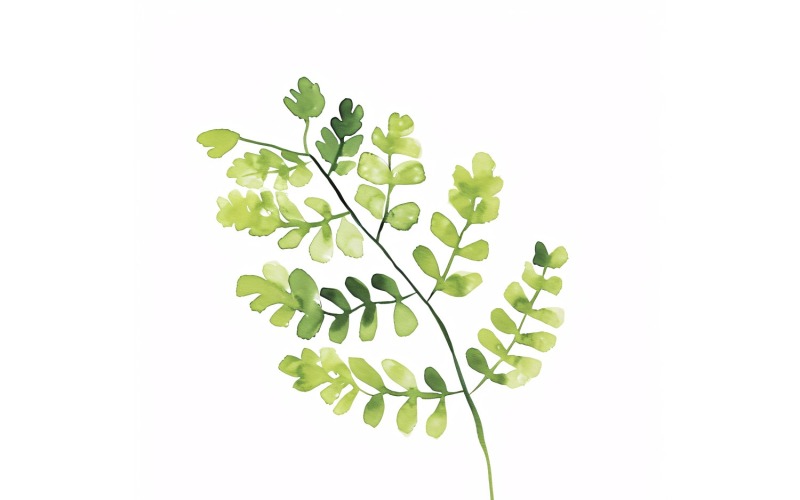 Feuilles de Maidenhair, peinture de style aquarelle 2