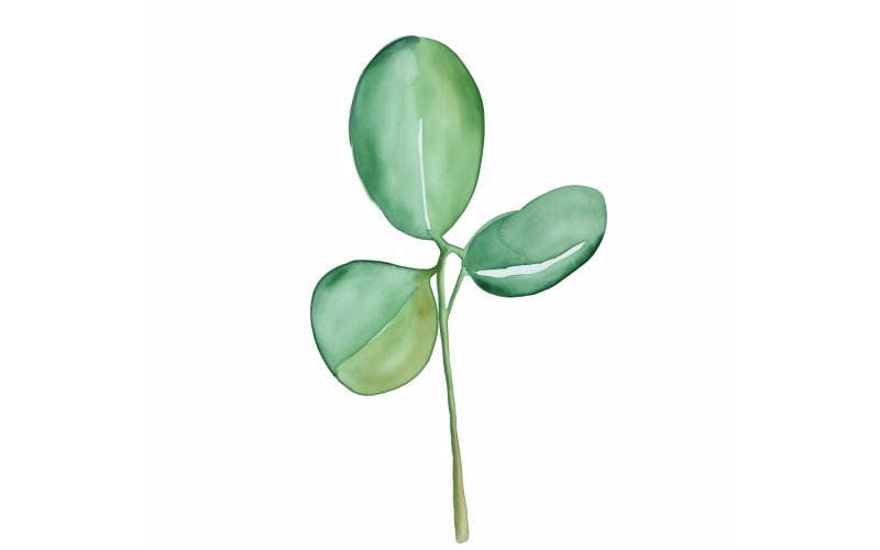 Jade deixa pintura estilo aquarela 4