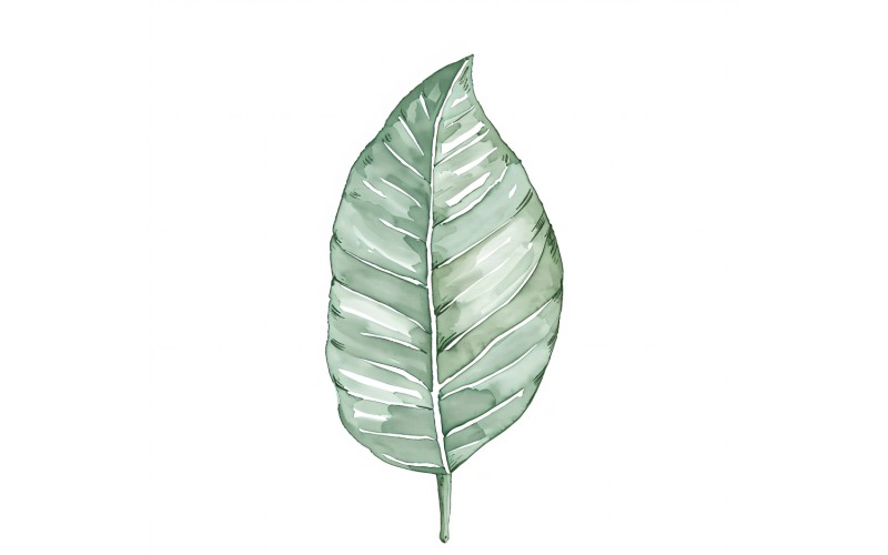 Krotonblätter, Malerei im Aquarellstil 1