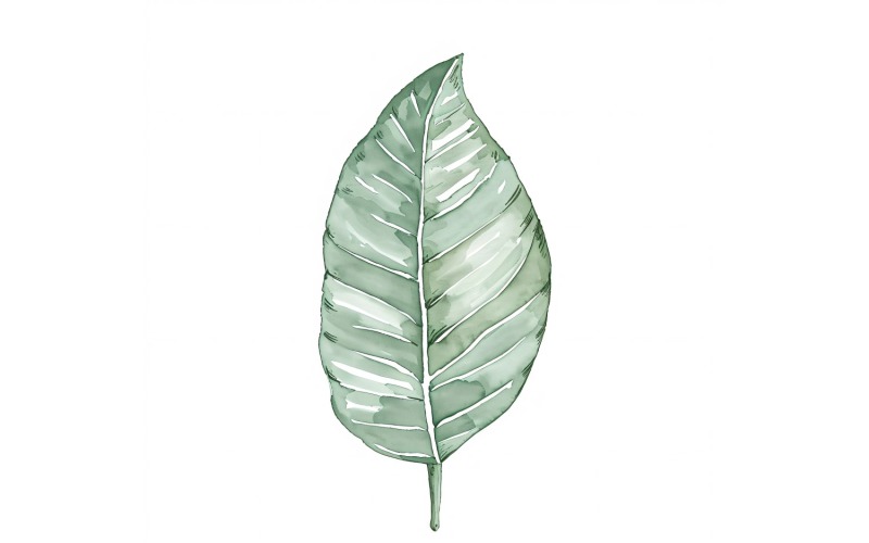 Листья кротона акварелью. Картина 1.