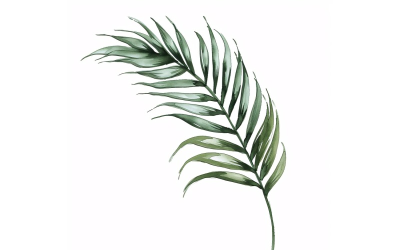 Пальмове листя ареки, картина в стилі акварелі 4