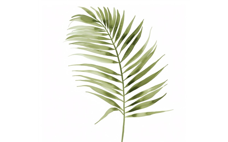 Peinture de style aquarelle de feuilles de palmier Areca 6