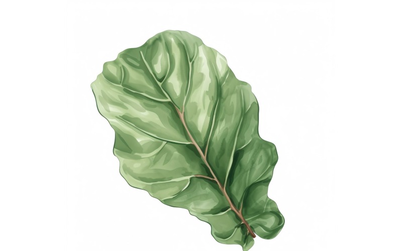 Peinture de style aquarelle de feuilles de violon 2