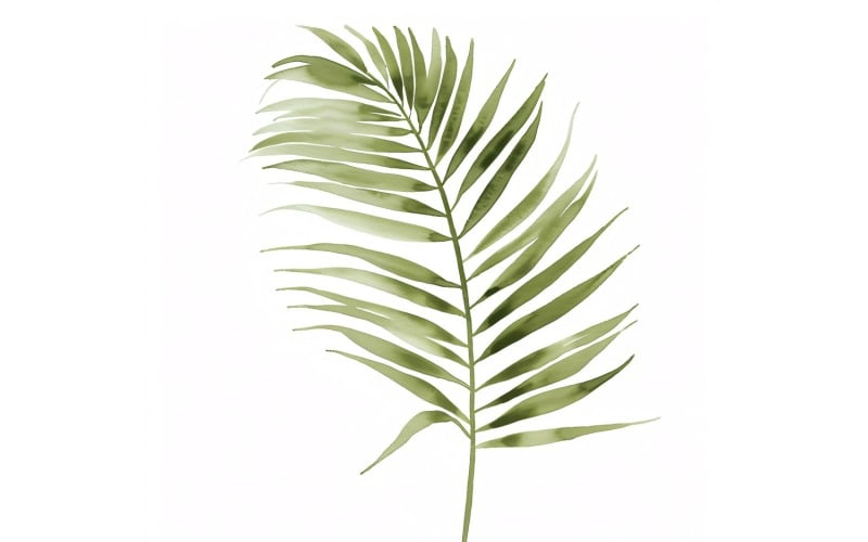 Pintura estilo aquarela de folhas de palmeira Areca 6