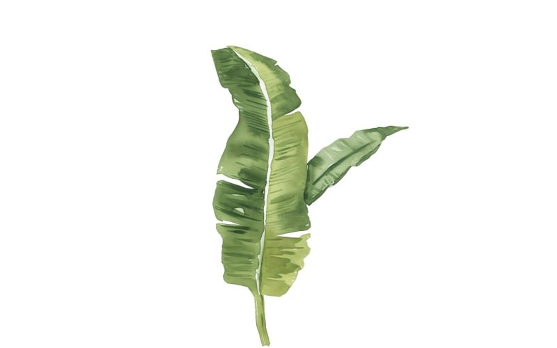 Pittura in stile acquerello con foglie di banana 4