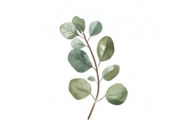 Pittura in stile acquerello con foglie di eucalipto 2