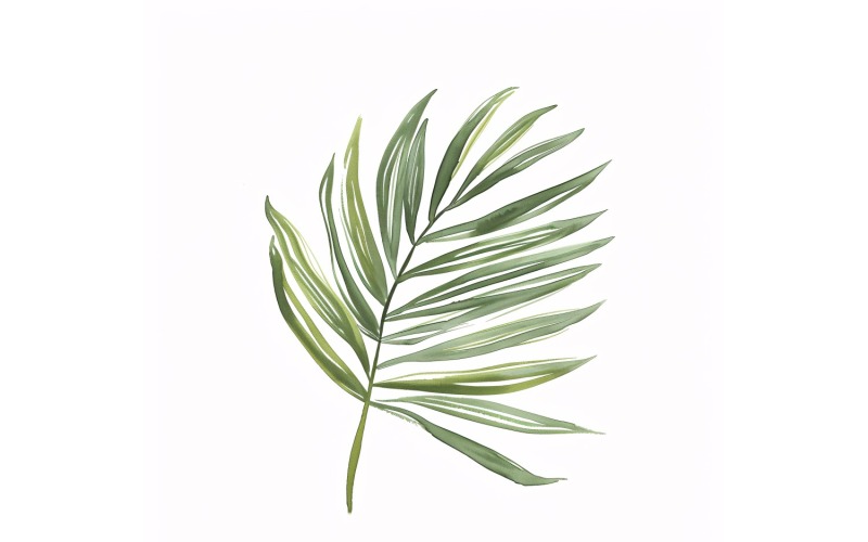 Pittura in stile acquerello con foglie di palma Areca 2
