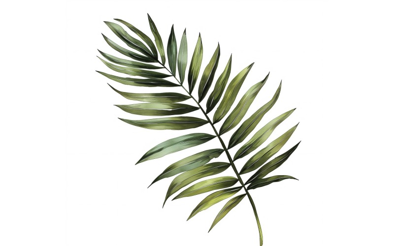 Pittura in stile acquerello con foglie di palma Areca 3