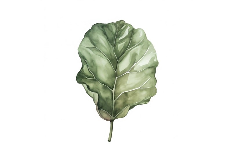 Pittura in stile acquerello con foglie di violino 1
